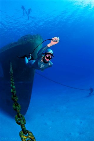 F3F on the Kittiwake